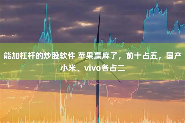 能加杠杆的炒股软件 苹果赢麻了,前十占五,国产小米、vivo各占二
