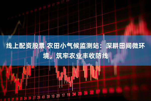 线上配资股票 农田小气候监测站：深耕田间微环境，筑牢农业丰收防线