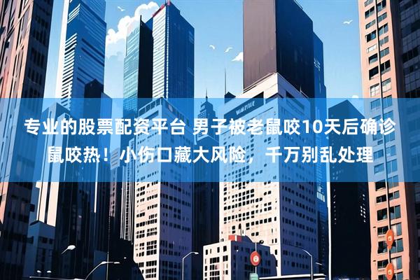 专业的股票配资平台 男子被老鼠咬10天后确诊鼠咬热！小伤口藏大风险，千万别乱处理