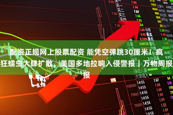 配资正规网上股票配资 能凭空弹跳30厘米！疯狂蠕虫大肆扩散，美国多地拉响入侵警报｜万物周报